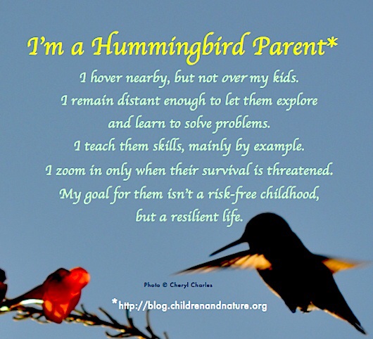 Hummingbird Parenting